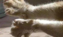 娱乐吃瓜菌7个真实故事,揭秘明星背后的故事