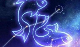 双鱼座女孩爆料视频播放,爆款视频背后的故事